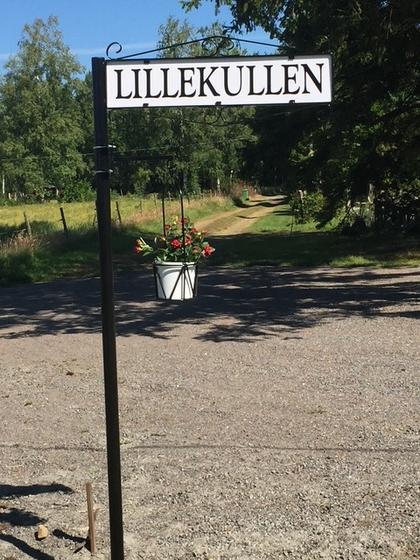 Bild av närområdet