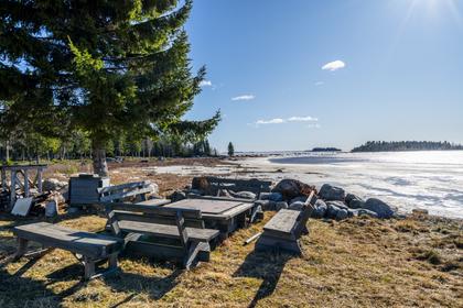 Bild av närområdet