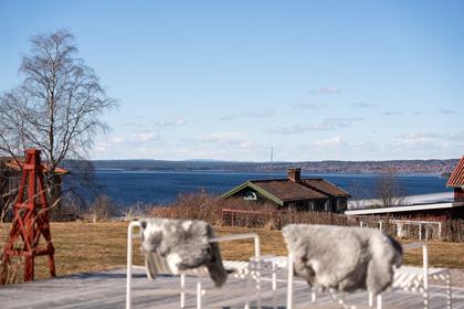 Bild av närområdet