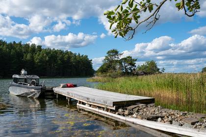 Bild av närområdet