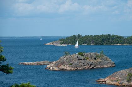 Bild av närområdet