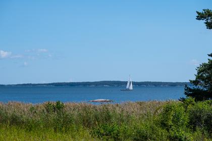 Bild av närområdet