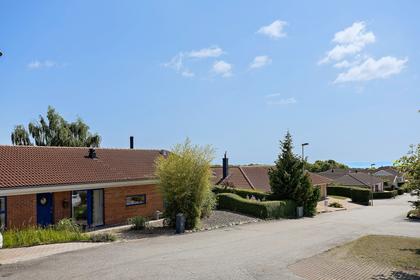 Bild av närområdet