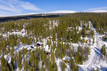 Bild av närområdet