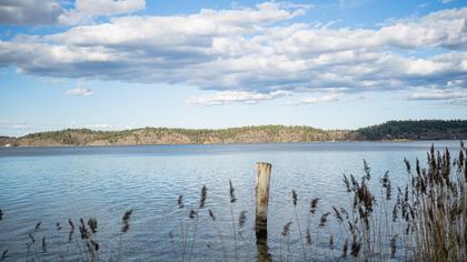 Bild av närområdet