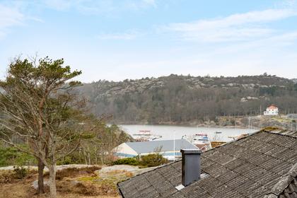 Bild av närområdet