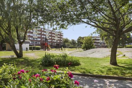 Bild av närområdet