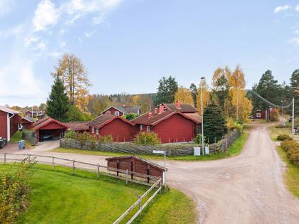 Bild av närområdet