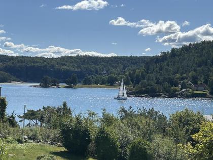 Bild av närområdet