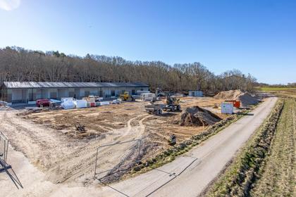 Bild av närområdet