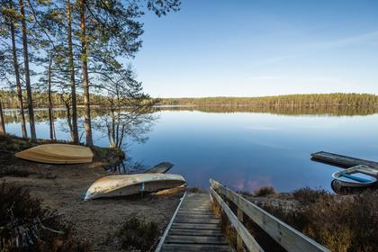 Bild av närområdet