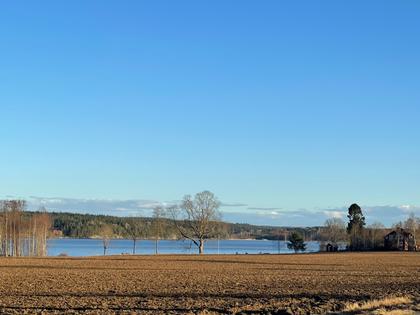 Bild av närområdet