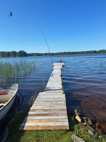 Bild av närområdet