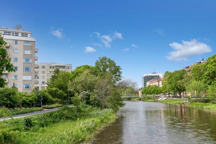 Bild av närområdet