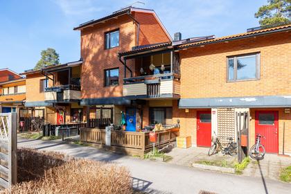 Bild av närområdet