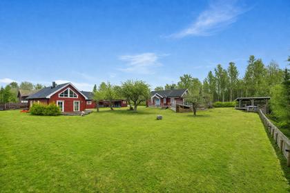 Bild av närområdet