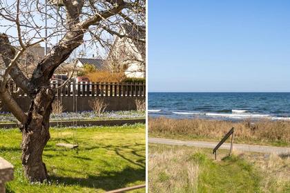 Bild av närområdet