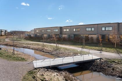 Bild av närområdet