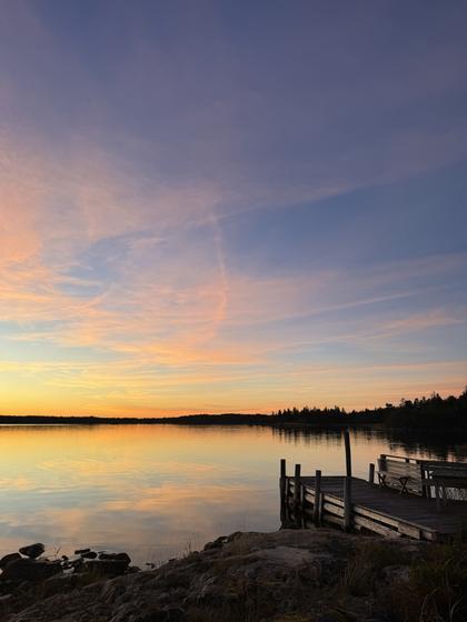 Bild av närområdet