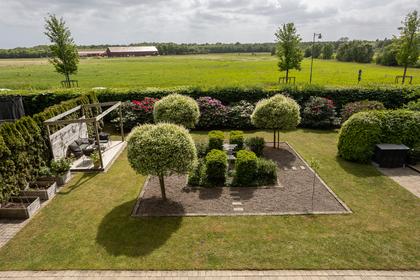 Bild av närområdet