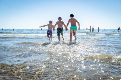 Bild av närområdet