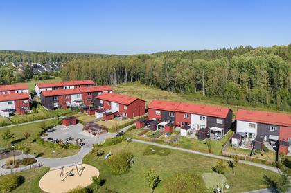 Bild av närområdet