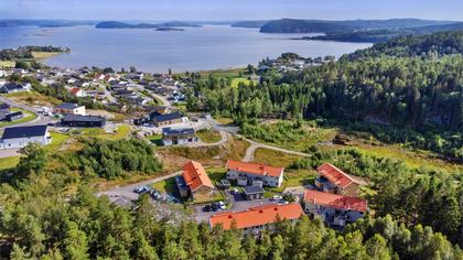 Bild av närområdet