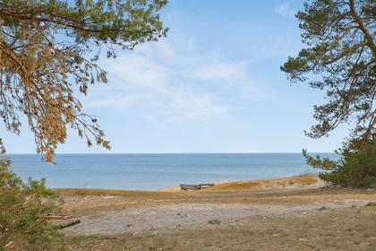 Bild av närområdet