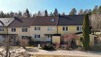 Bild av närområdet