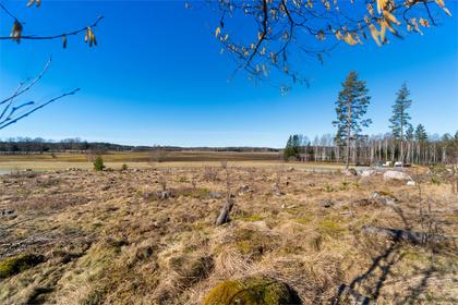 Bild av närområdet