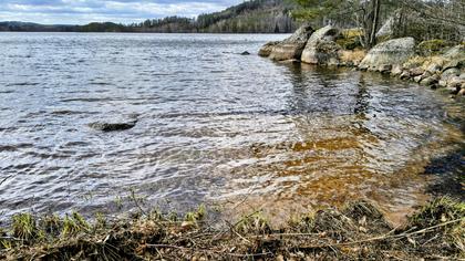 Bild av närområdet