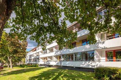 Bild av närområdet