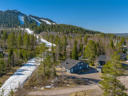 Bild av närområdet