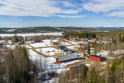 Bild av närområdet