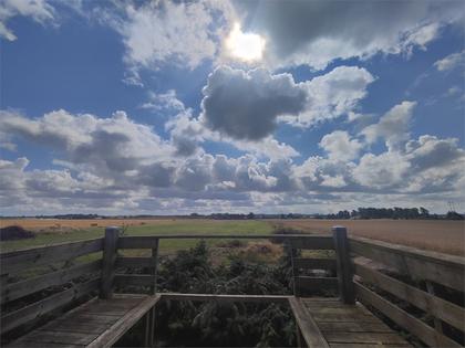 Bild av närområdet