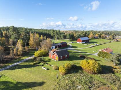 Bild av närområdet