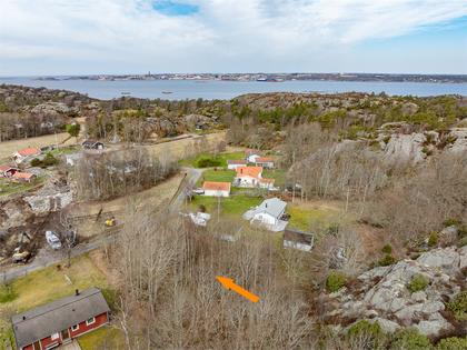 Bild av närområdet