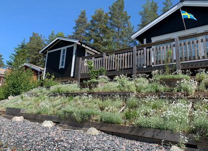 Bild av närområdet