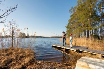 Bild av närområdet