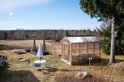 Bild av närområdet