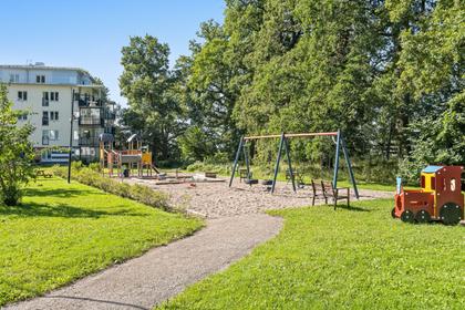 Bild av närområdet