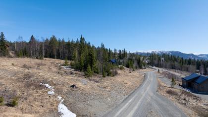 Bild av närområdet