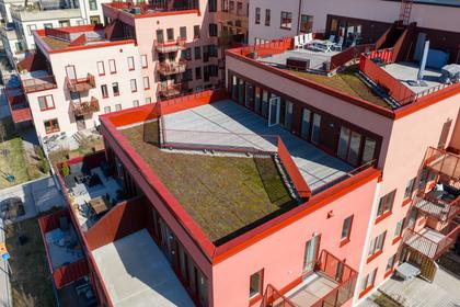 Bild av närområdet