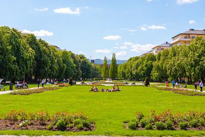 Bild av närområdet