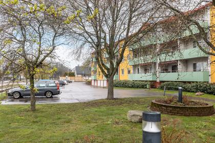 Bild av närområdet