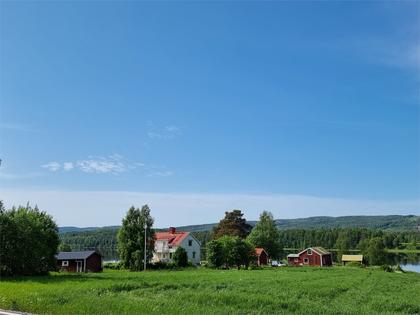 Bild av närområdet