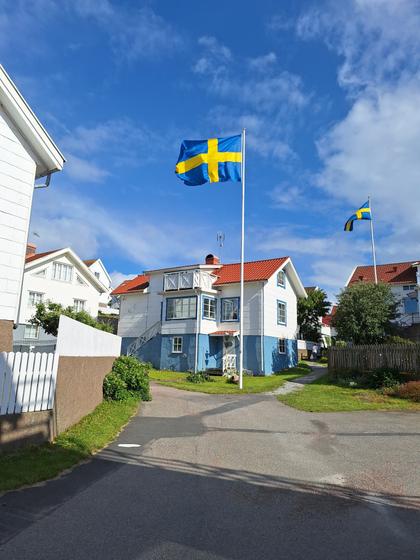 Bild av närområdet