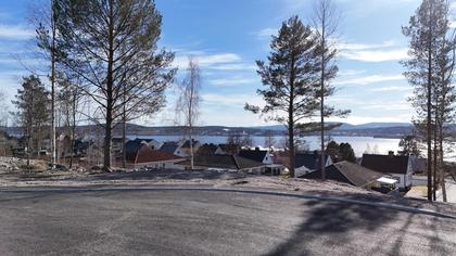 Bild av närområdet