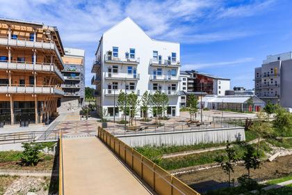 Bild av närområdet