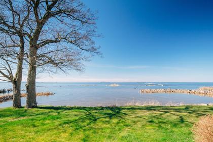 Bild av närområdet